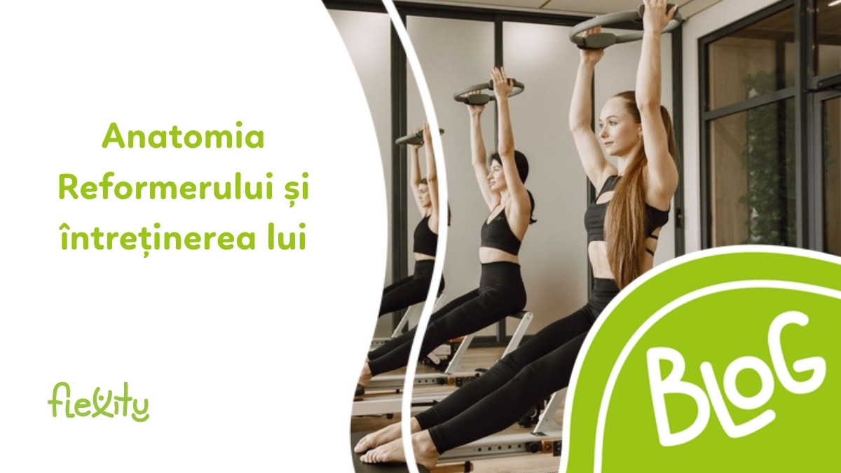 Anatomia aparatelor Pilates Reformer și întreținerea lor