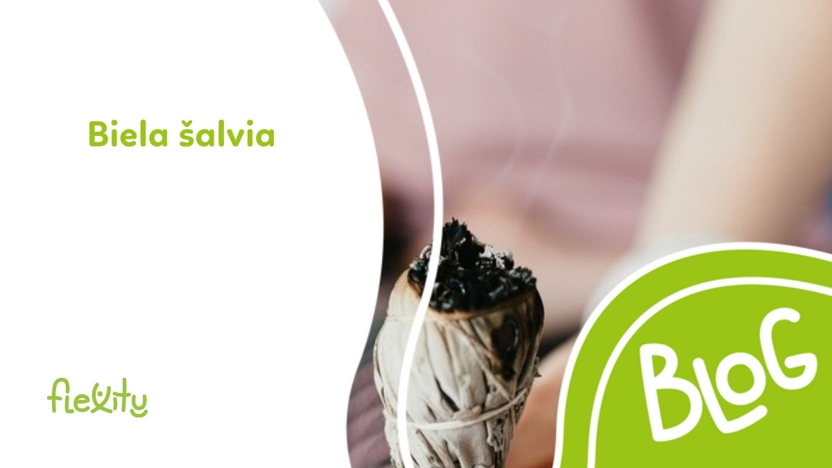 Biela šalvia a vydymovanie (smudging): ako na to