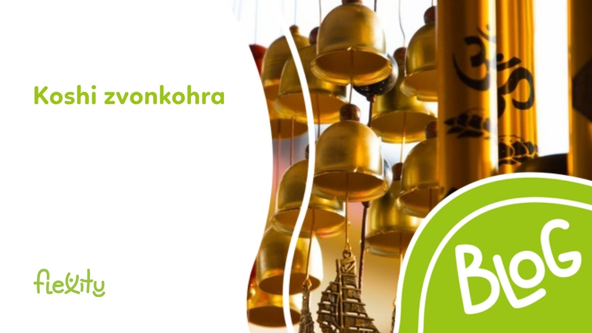 Koshi zvonkohra: štyri živly, zvuk a použitie
