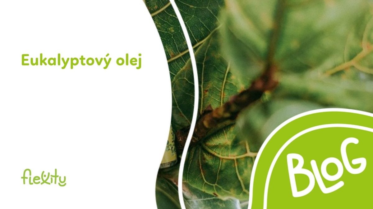 Eukalyptový olej: účinky, použitie a bezpečnosť