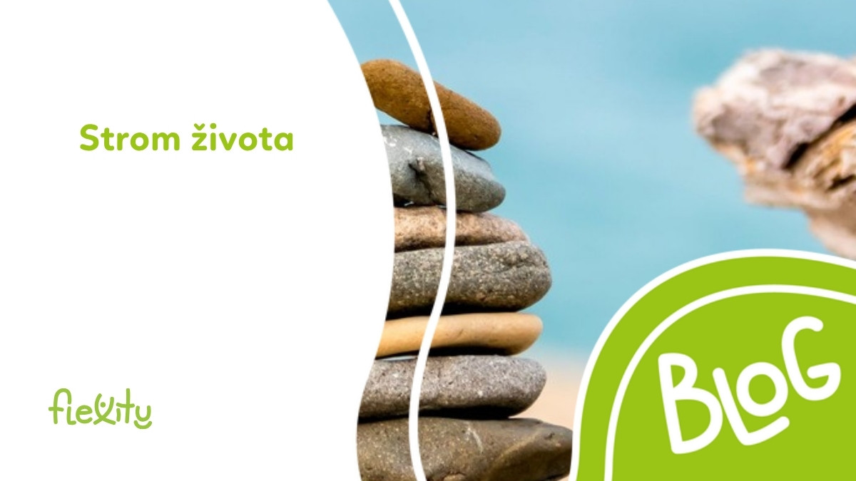 Strom života: význam, symbolika a použitie