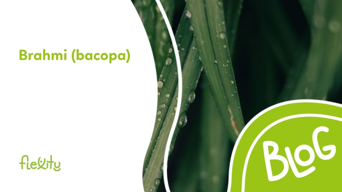Brahmi (bacopa): účinky na pamäť a koncentráciu