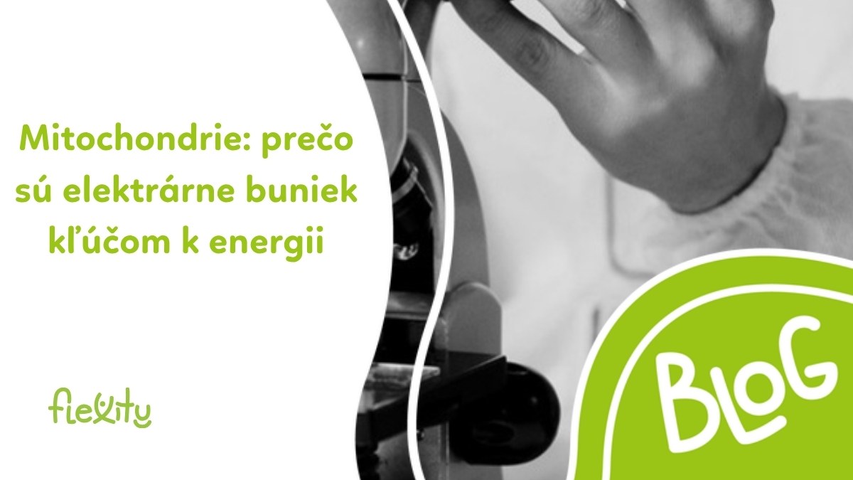 Mitochondrie: prečo sú „elektrárne" buniek kľúčom k energii