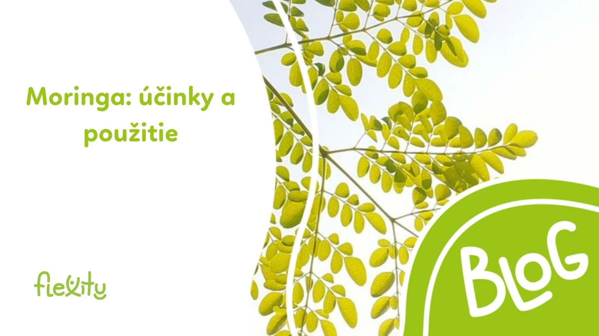 Moringa: účinky, použitie a vedľajšie účinky