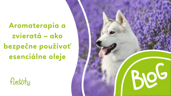 Aromaterapia a zvieratá – ako bezpečne používať esenciálne oleje