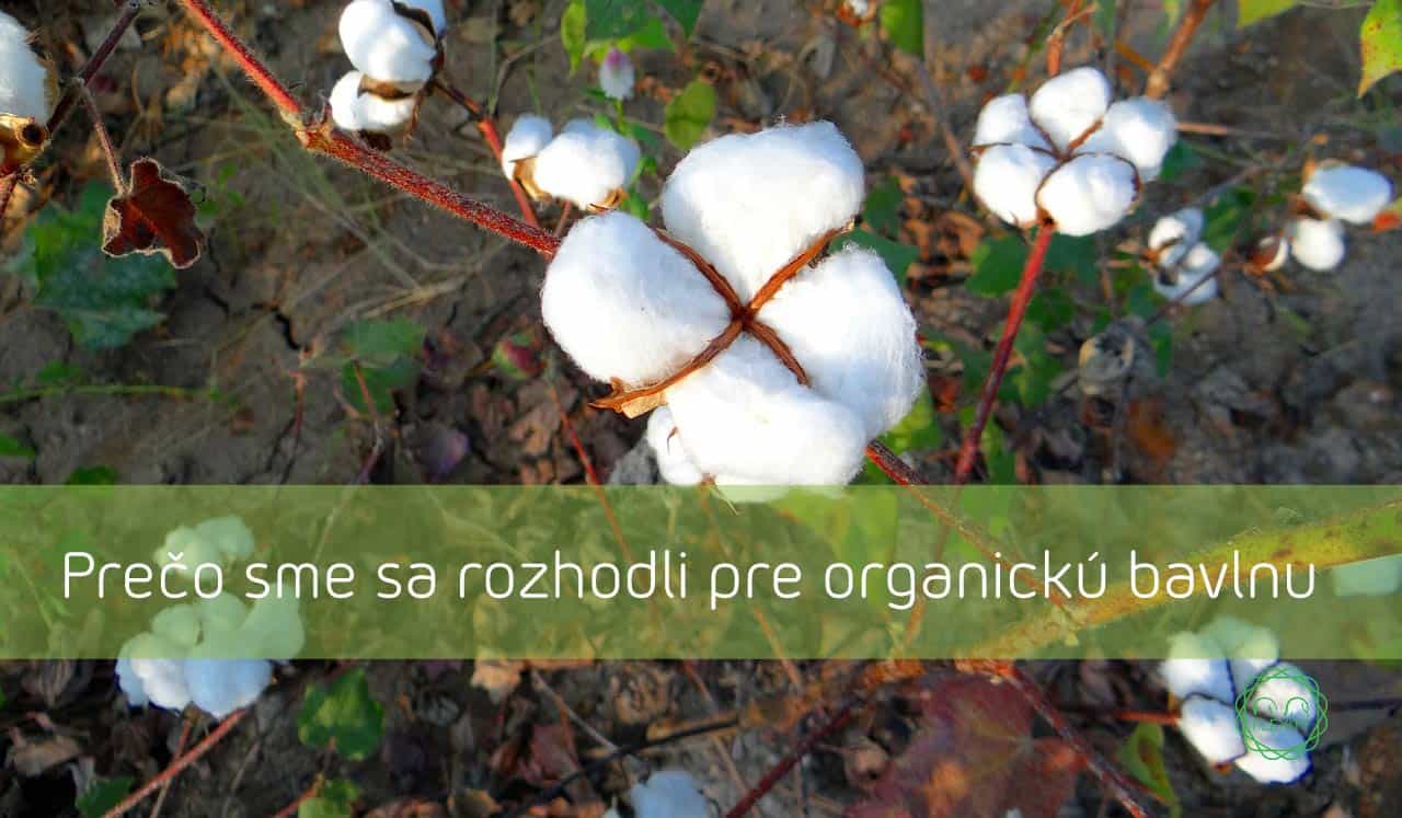 Prečo sme sa rozhodli pre organickú bavlnu