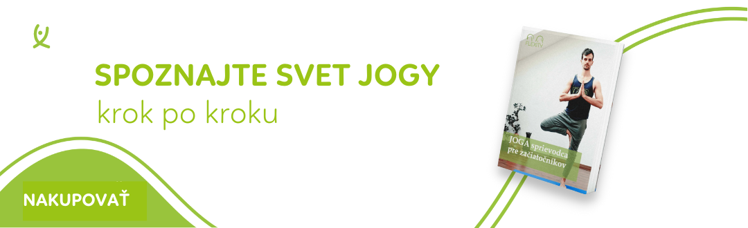 CAROUSEL EBOOK JOGA PRE ZAČIATOČNÍKOV