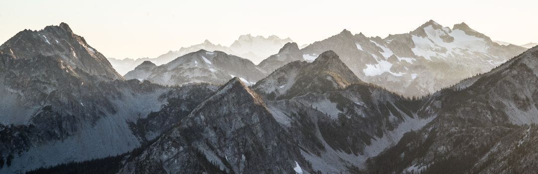 shilajit