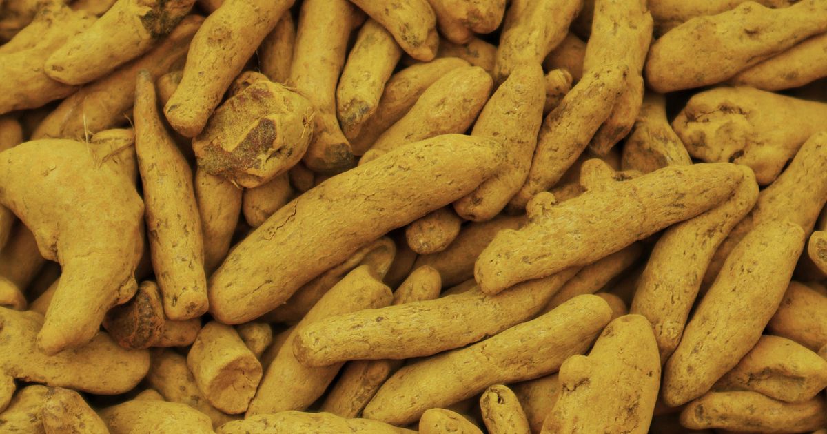Samahan – ájurvédsky bylinný instantný nápoj zo Srí Lanky, sáčok s práškom a šálka horúceho nápoja