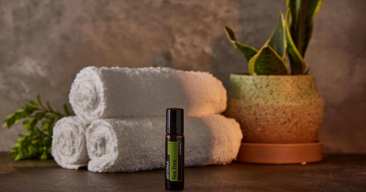 Tmavá fľaštička tea tree (čajovníkového) esenciálneho oleja s vetvičkou Melaleuca