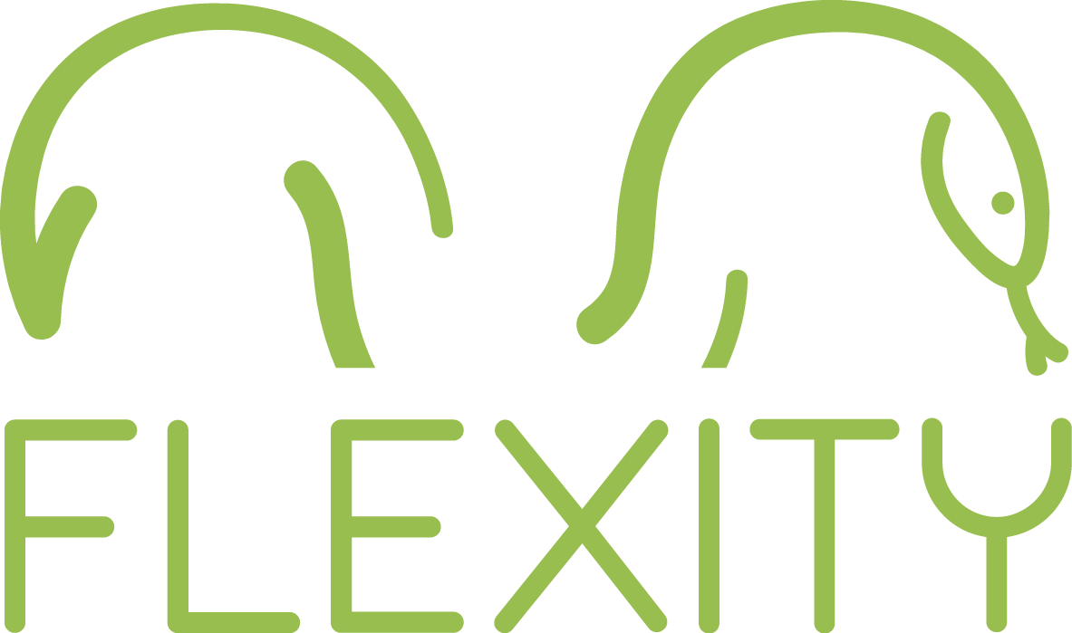 flexity_light_green_transparent
