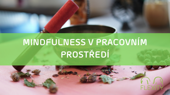 Tipy na mindfulness v pracovním prostředí jako součást firemní kultury.