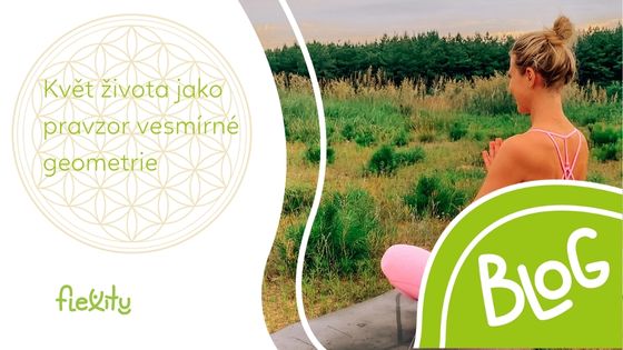 Květ života jako pravzor vesmírné geometrie
