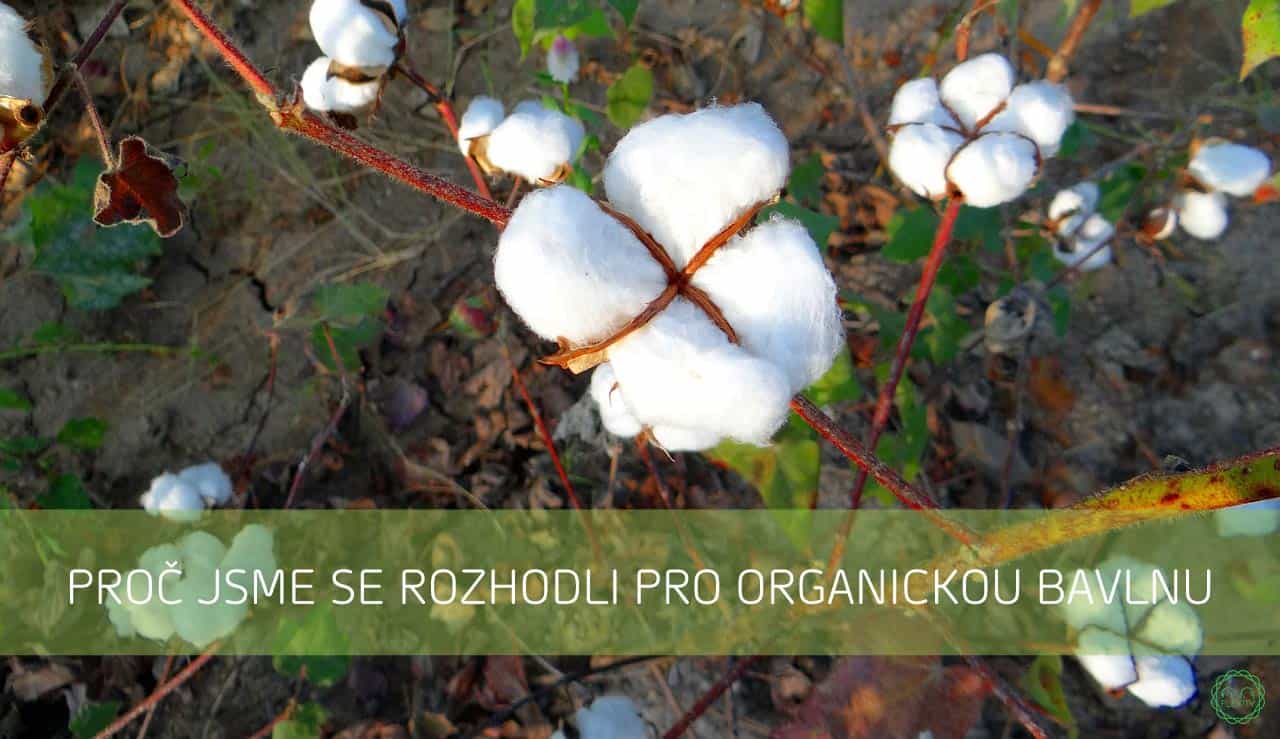Proč jsme se rozhodli pro organickou bavlnu
