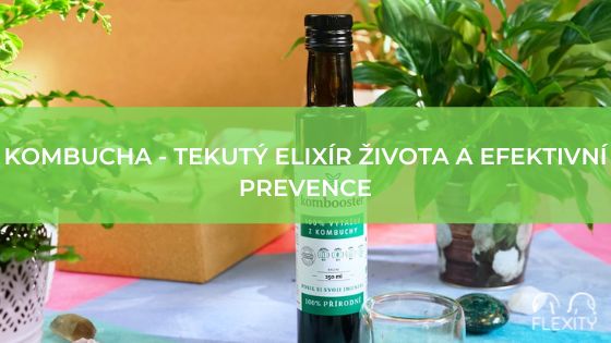 Kombucha – tekutý elixír života a efektivní prevence