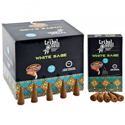 white sage tribal soul backflow incense