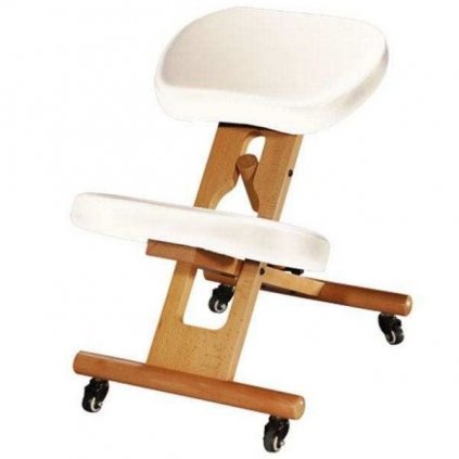 ergonom chair3