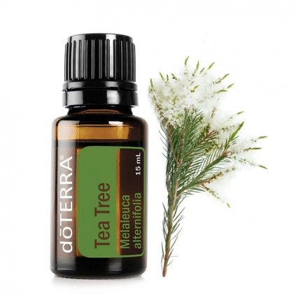 doterra tea tree esencialny olej cajovnik 15 ml