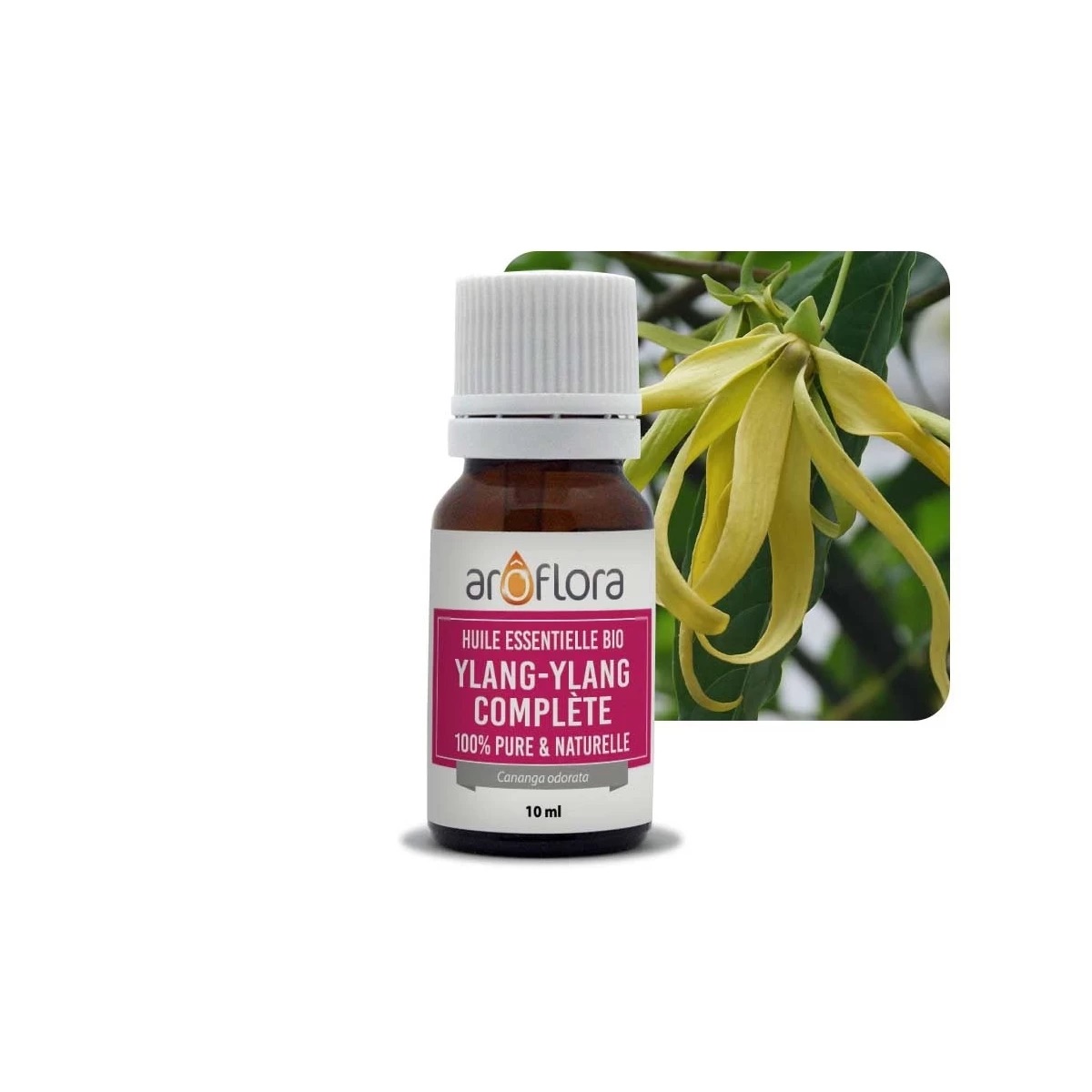 Innobiz Aroflora 100% čistý organický Esenciální olej Ylang…