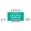 huile essentielle d eucalyptus globulus 100 pure et naturelle 10 ml (1)