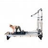 PAPHALFCADA2 align pilates half cadillac frame only a m c series reformers 2 Large
