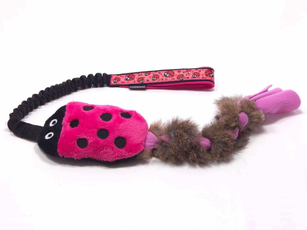 c173224f 60a4 4528 a9d1 d06eafcc9cf2