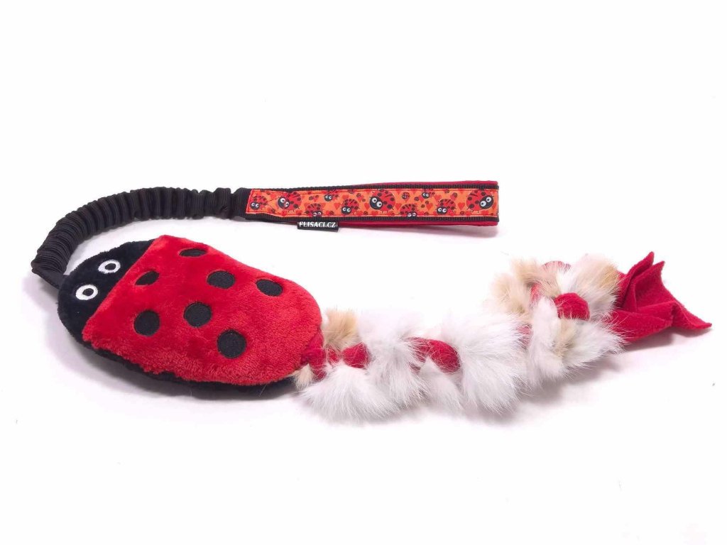 152f9a02 29ed 4c6b a75d 2dbf4decaca8