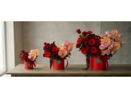 BANNER ČERVENÝ BOX