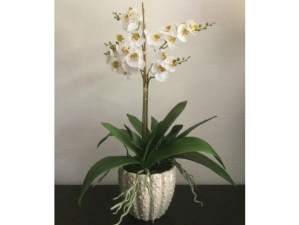 Deco 3281 - Venusta + bílé orchideje