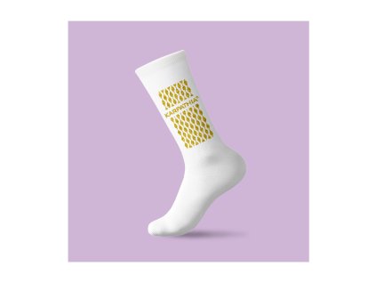 Ponožky Karpathia Glitter (veľkosť EU 39-41, materiál 72% bavlna, 26% polypropylén Prolen®, 2% elastan)