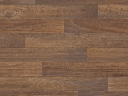 xtreme natural oak 369m