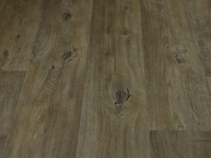 textra annapurna 2542