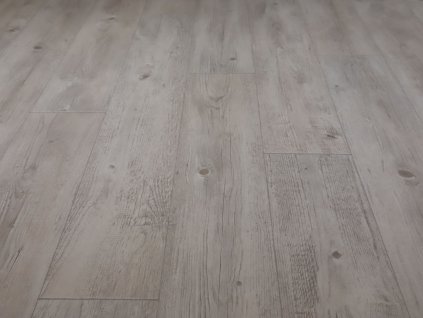 woodline costeau w06