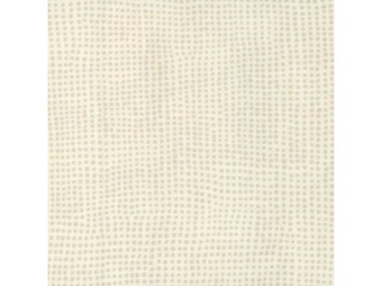 0047 Diversion Ivoire