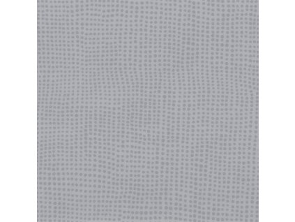 0824 Diversion Souris