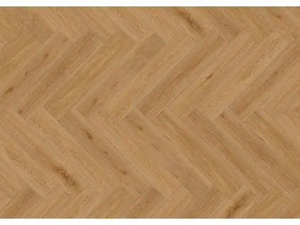 87106 JPG 72 dpi Aquinoah honey 152x762 A4 CMJN