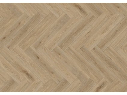 87116 JPG 72 dpi Aquinoah nature 152x762 A4 CMJN