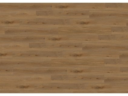 87801 JPG 72 dpi Aquinoah Brown sky view