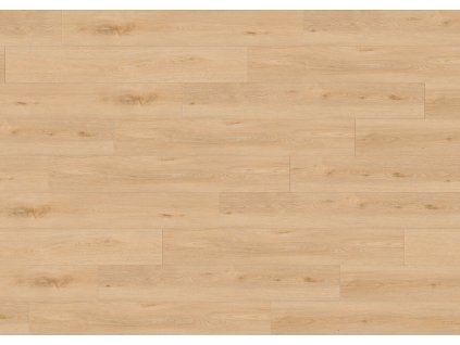 86726 JPG 72 dpi Aquinoah Blond sky view