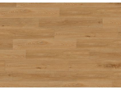 87806 JPG 72 dpi Aquinoah Honey sky view