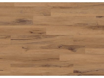 87561 JPG 72 dpi Creation 1606 Cedar Golden Sky View