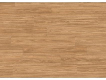 87821 JPG 72 dpi Linear Wood Nature sky view