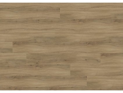 87506 JPG 72 dpi Creation 0503 Quartet Sky View