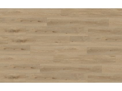 87811 JPG 72 dpi Aquinoah Nature sky view