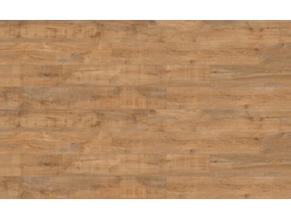 87831 JPG 72 dpi Savage Pak Honey sky view