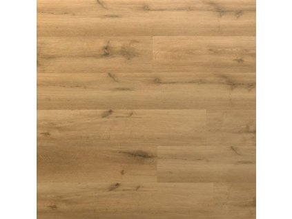 Lamett Douro IB 611 Glow