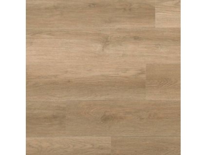 barley iva 2702 ib ac5 5mm