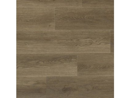 roasted iva 2703 ib ac5 5mm