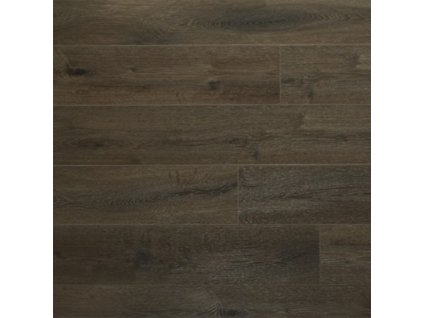 tan yuk 2621 ib ac55mm