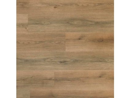 lamett douro dryback honey dou 602